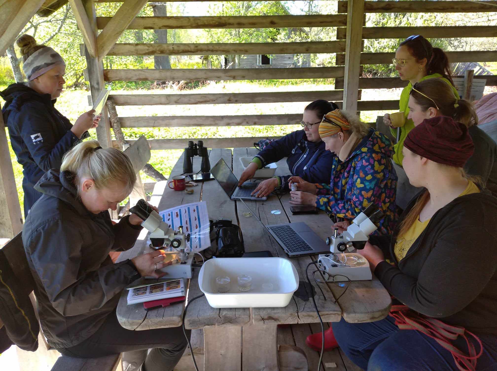 harrastusteaduste kursus