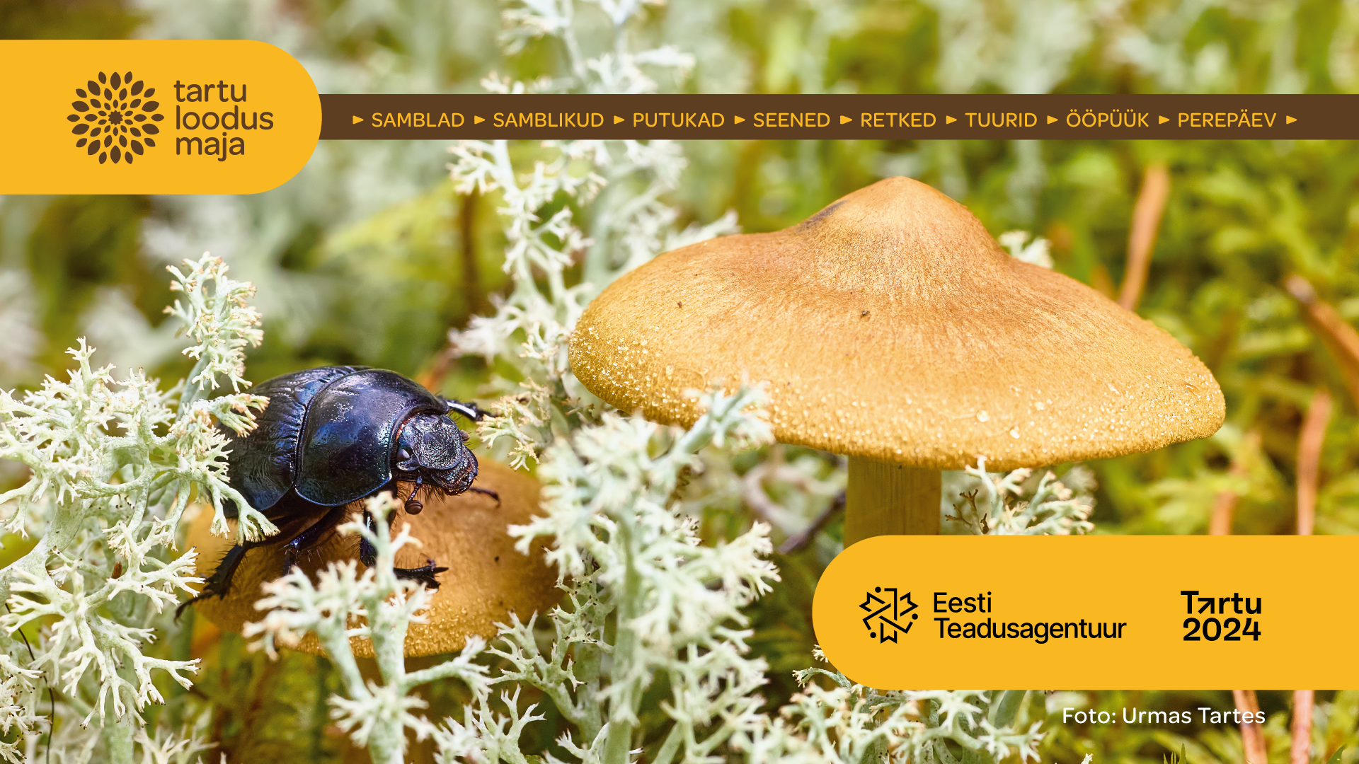 väikese elurikkuse nädalalõpp