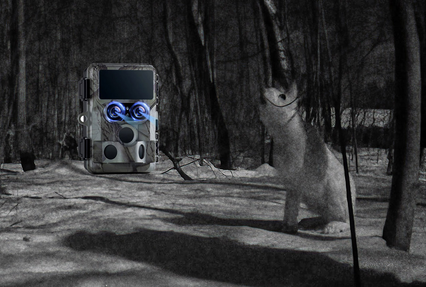 Rajakaamerakoolitus fotograafidele ja videograafidele