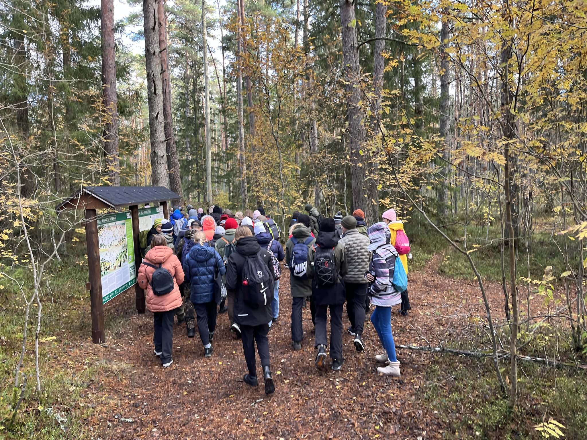 keskkonnauuringud