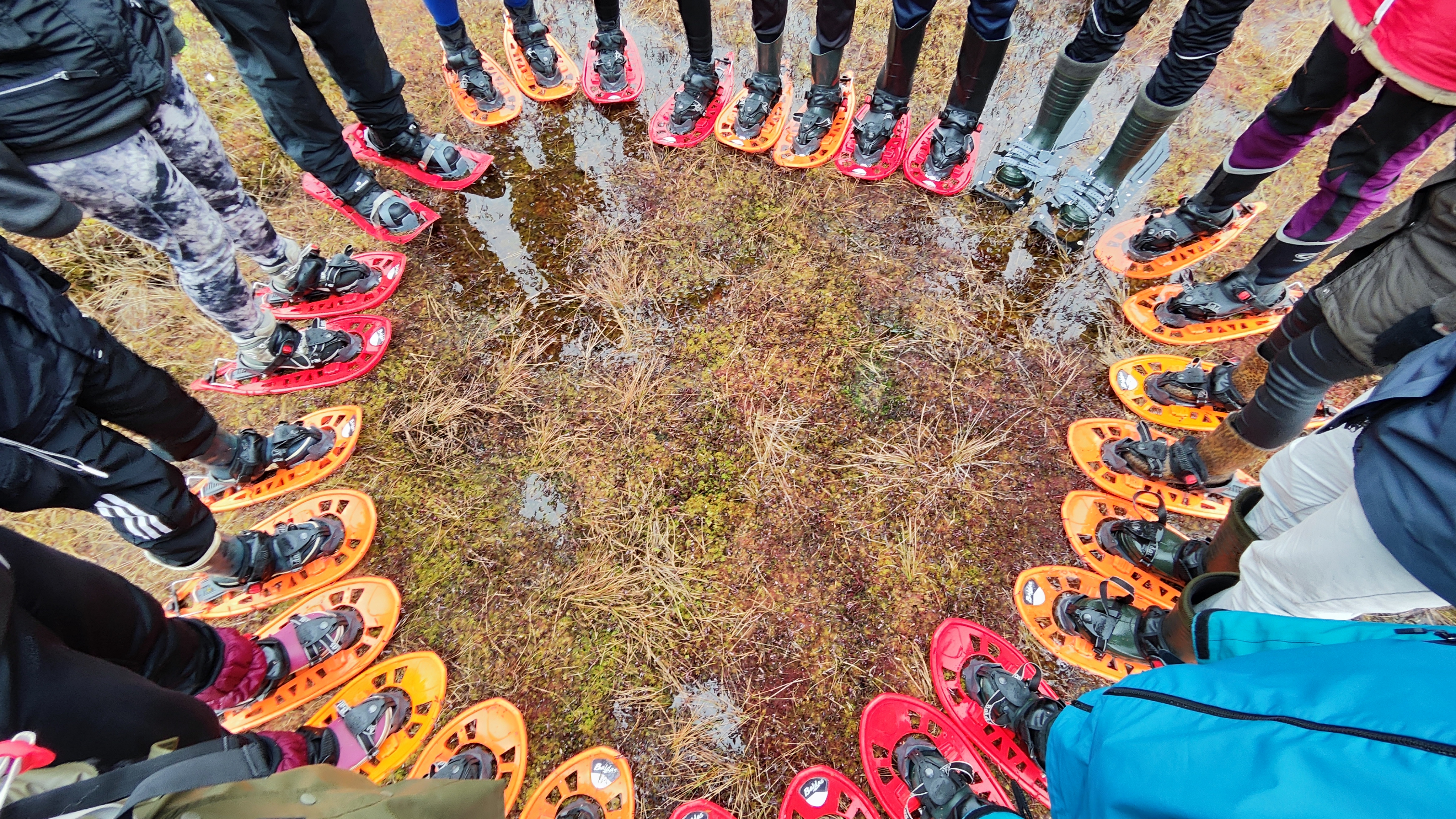 Räätsamatk Viru rabas