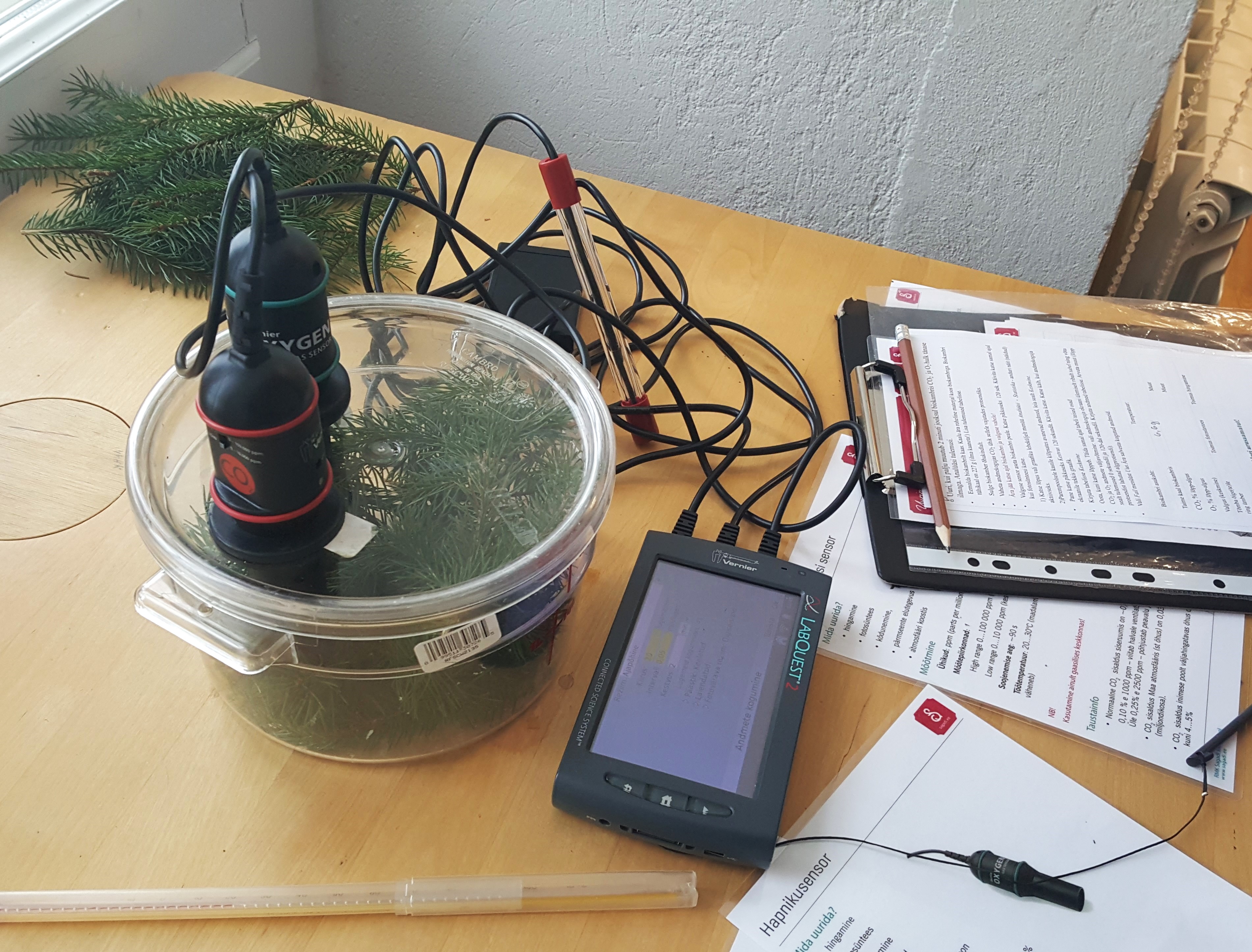 Fotosünteesi programmi vahendid