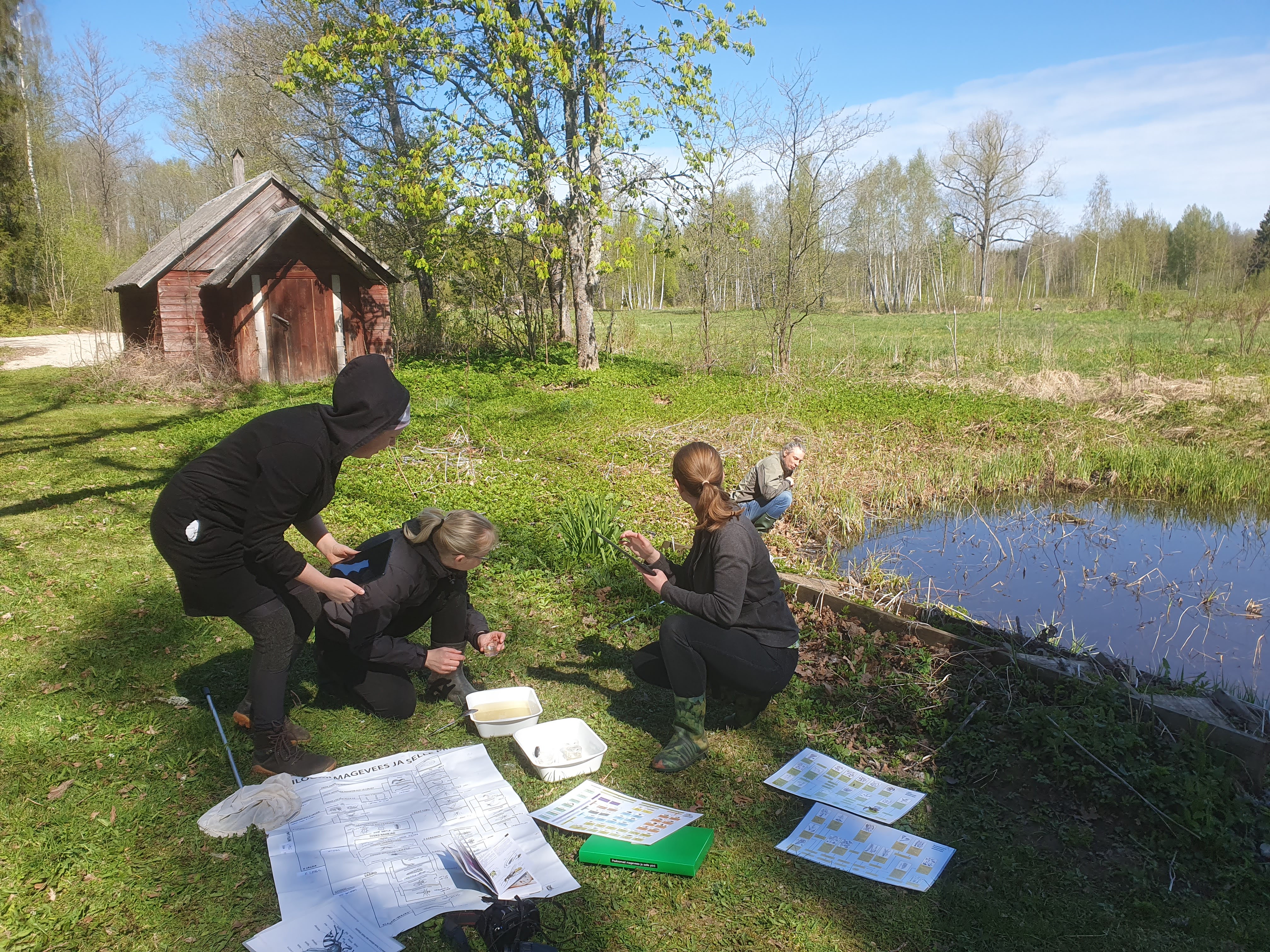 harrastustusteaduste kursus