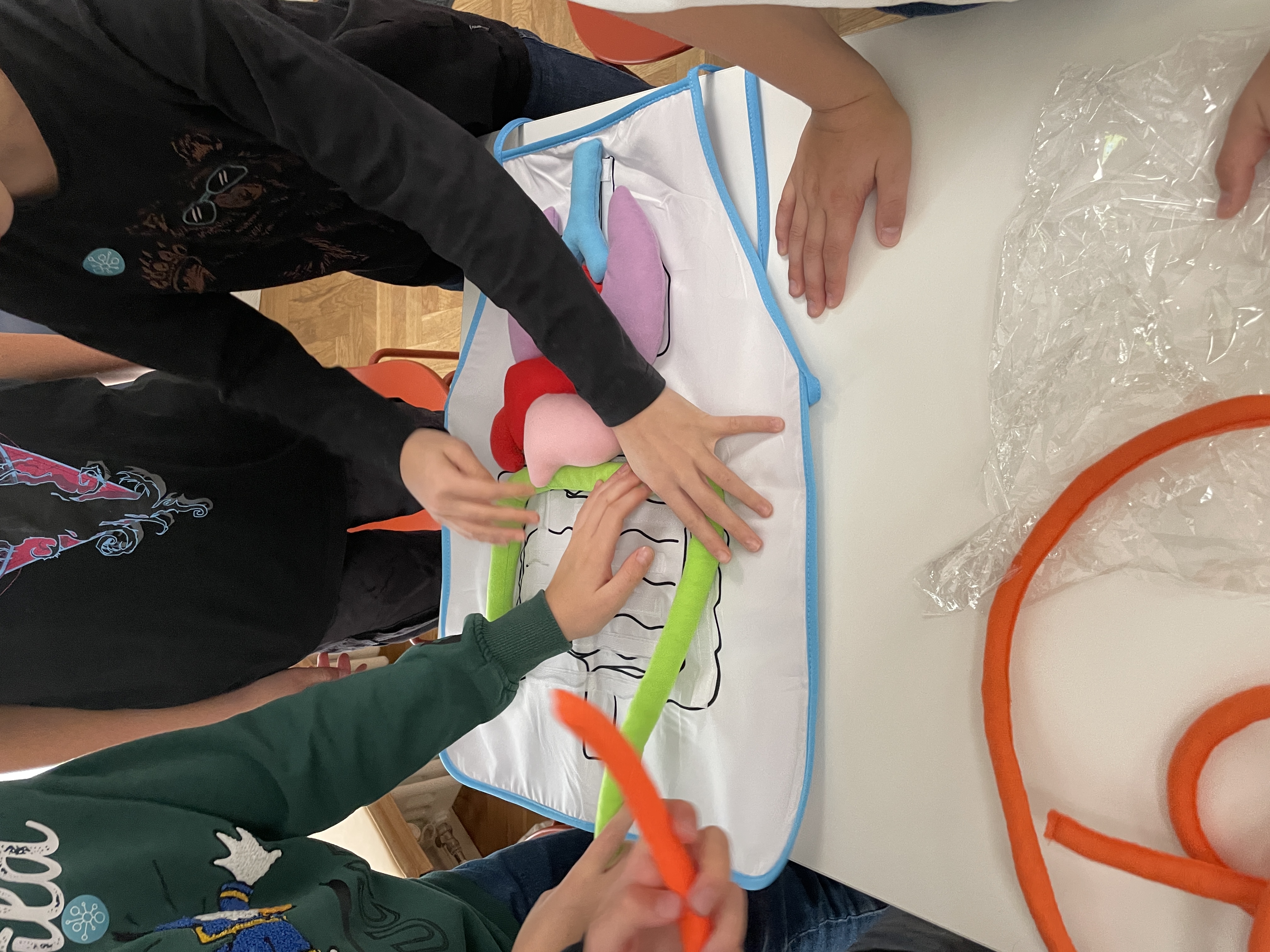 Õpilased tegeluspõllega