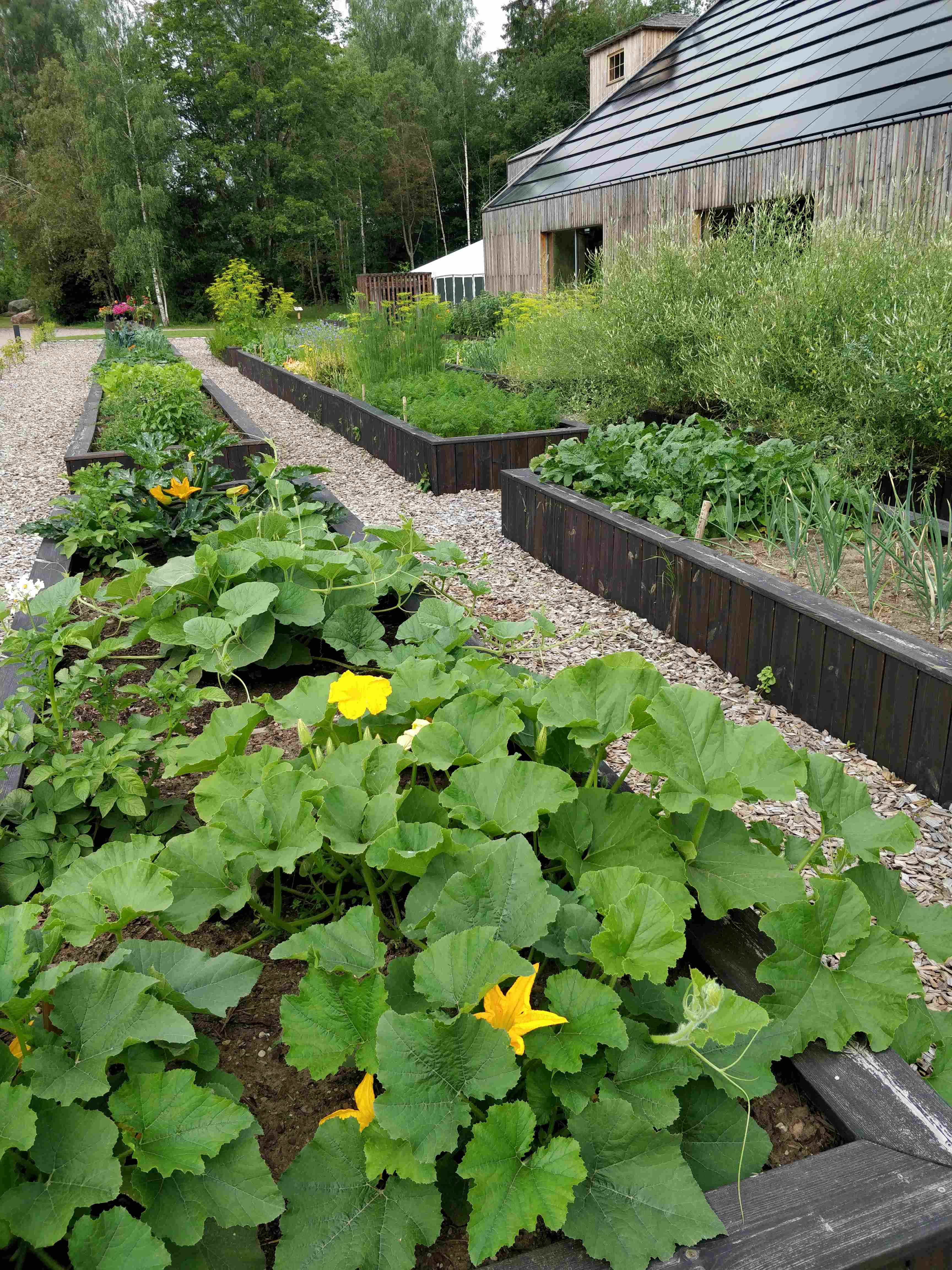 Toidutaimede peenrad Mulgi Elamuskeskuse juures