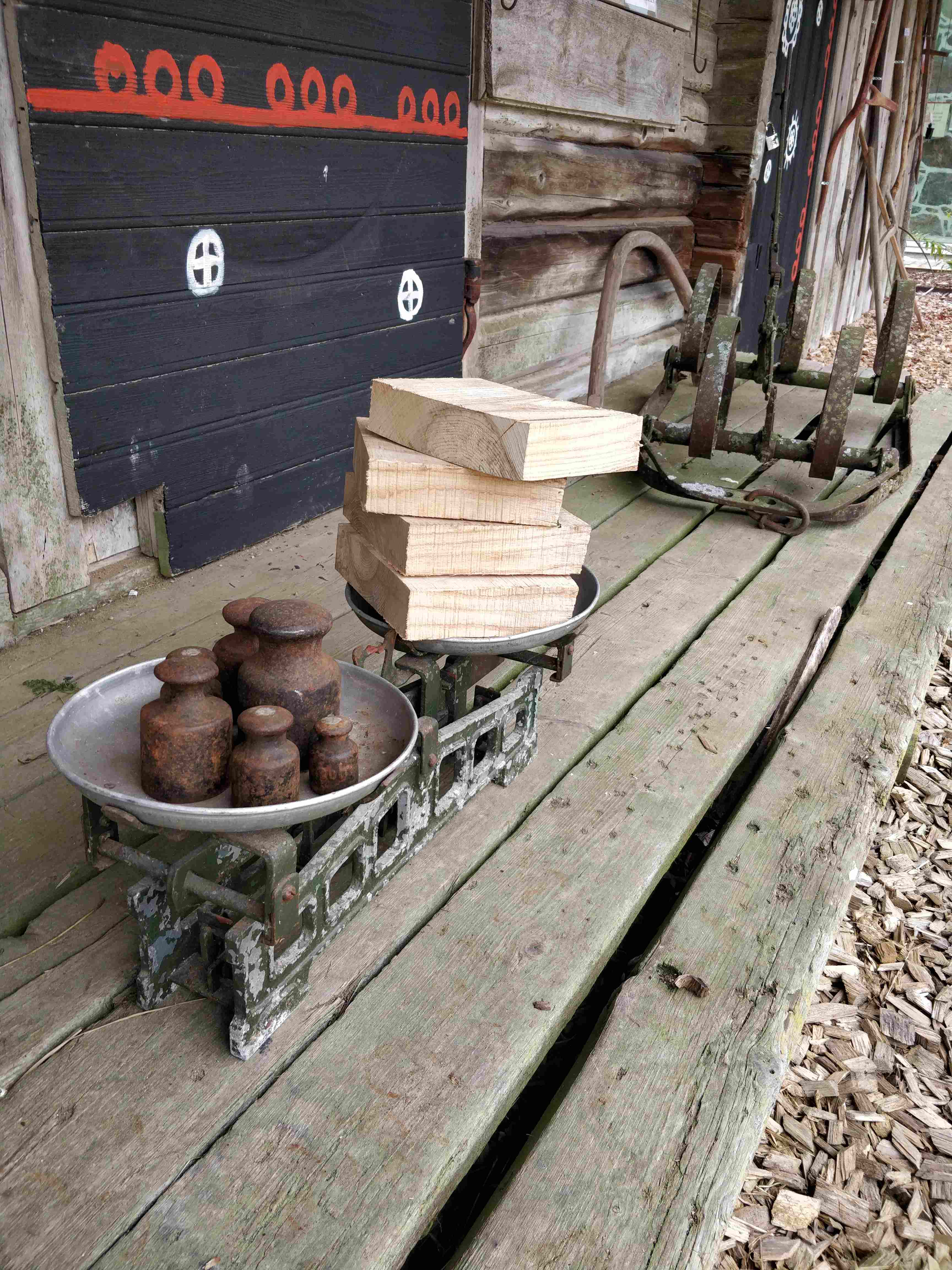 vanaaegne kaal aidatrepil