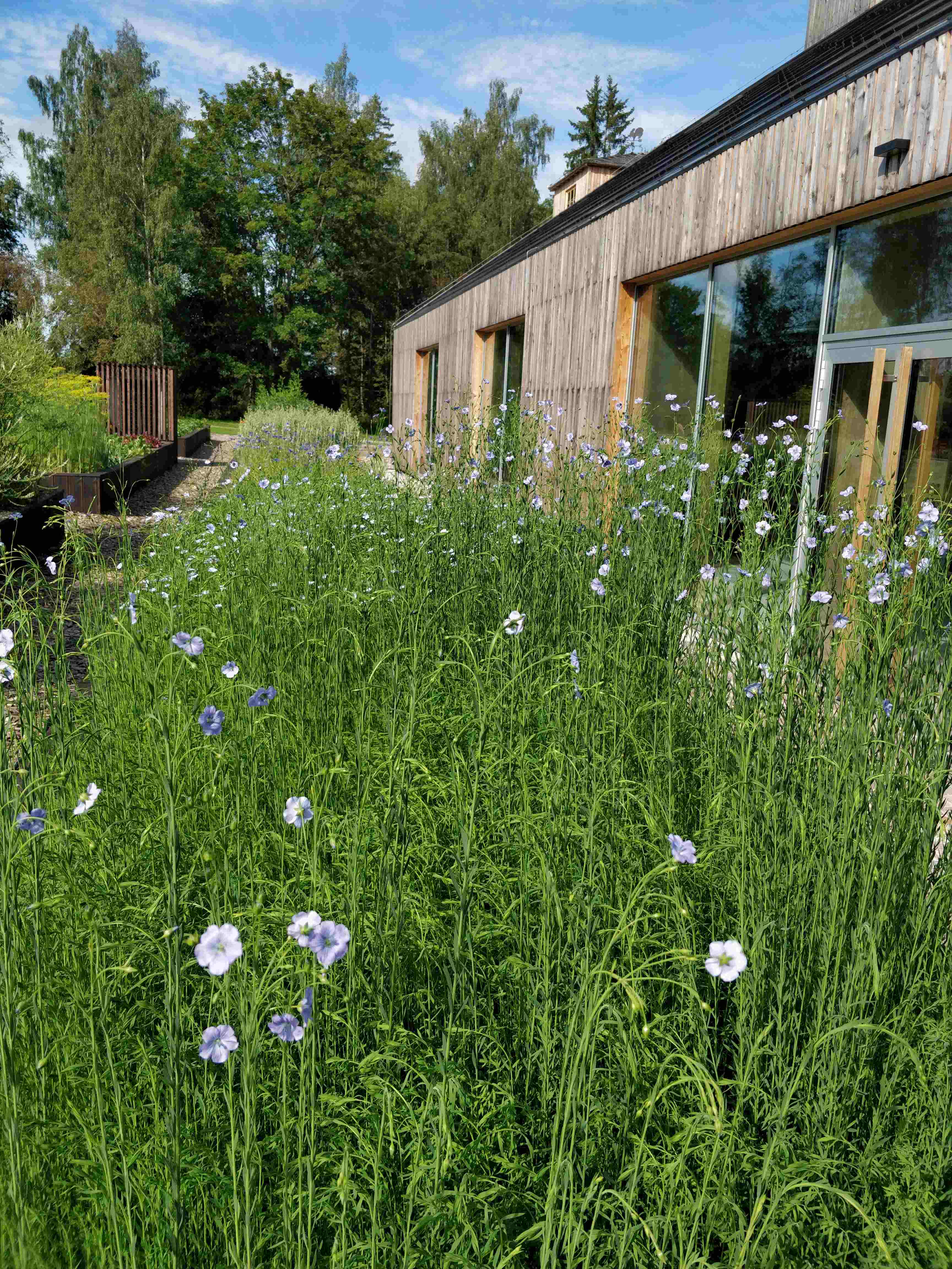 Kiulina Mulgi Elamuskeskuse juures