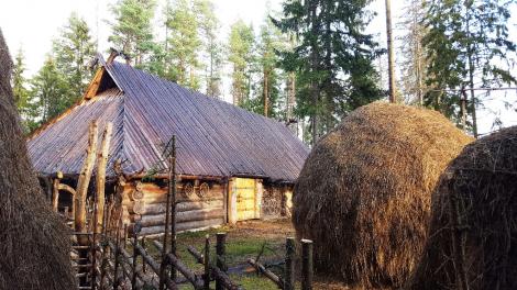 vana palkhoone ees on lattaed ja suured heinasaadud