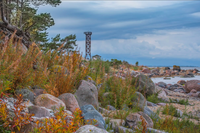 Kivine rand kollakate sügiseste taimedega, sinise taeva taustal linnutorn