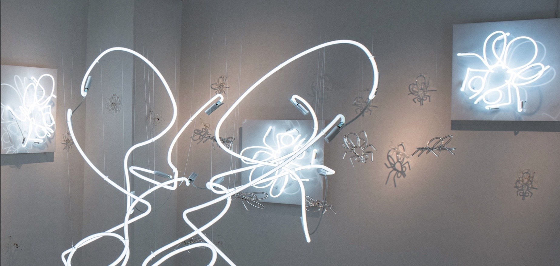 Klaasikunstnik Birgit Pählapuu näitus „Kärbeste Mäss“ Tartu Ülikooli botaanikaaias