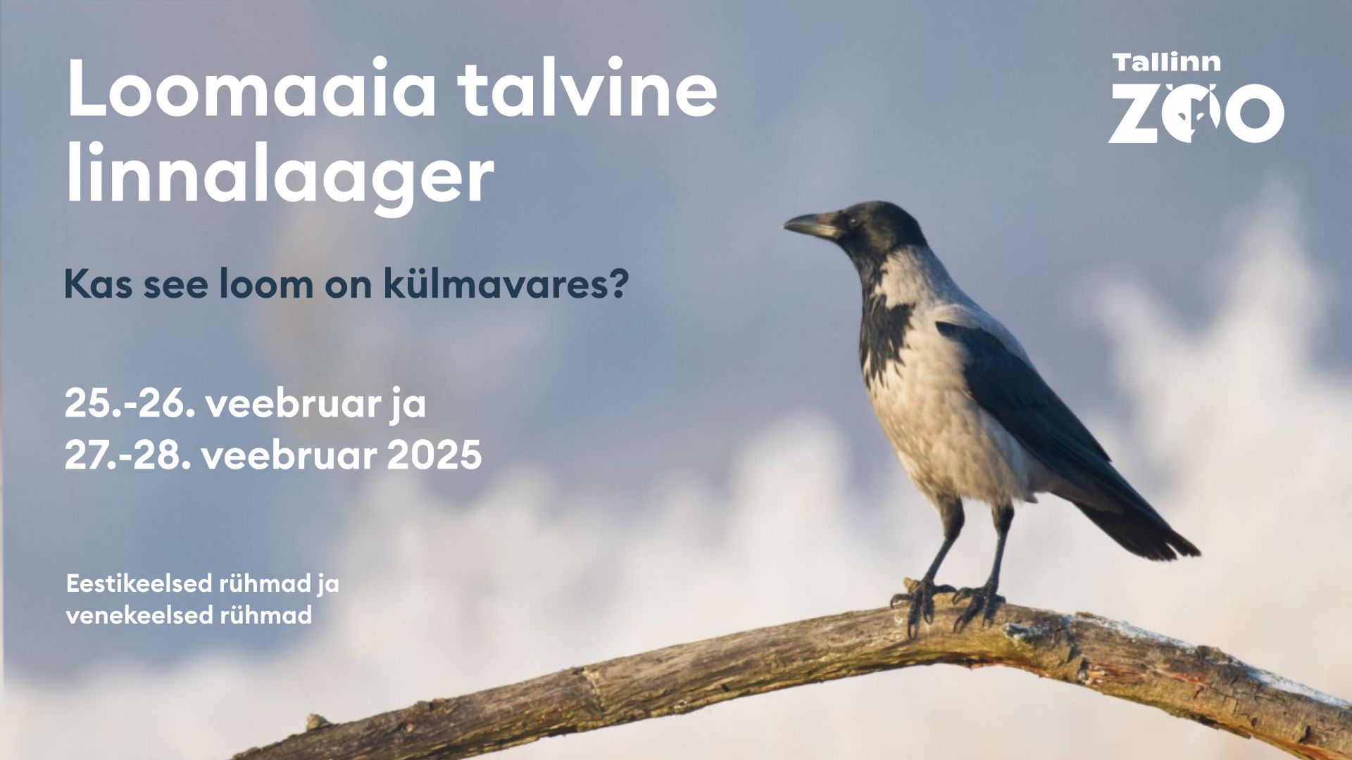 Loomaaia talvise linnalaagri kuulutus