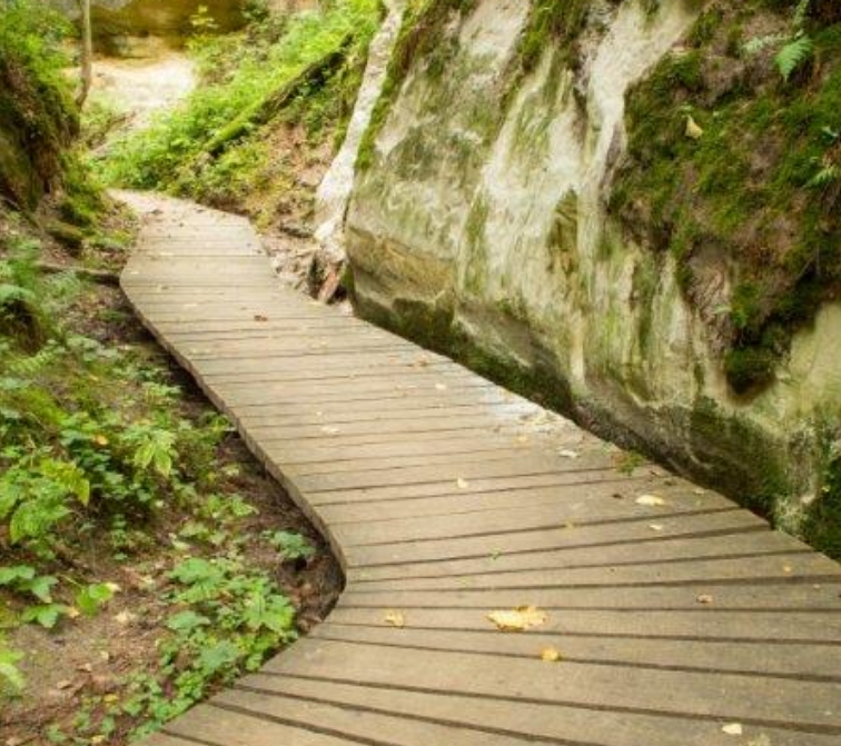 Kanjoni põhjas kulgeb laudtee, paremal ja vasakul kõrguvad heledad beežikad liivakivist paljandid, millel kasvavad laiguti rohelised samblad