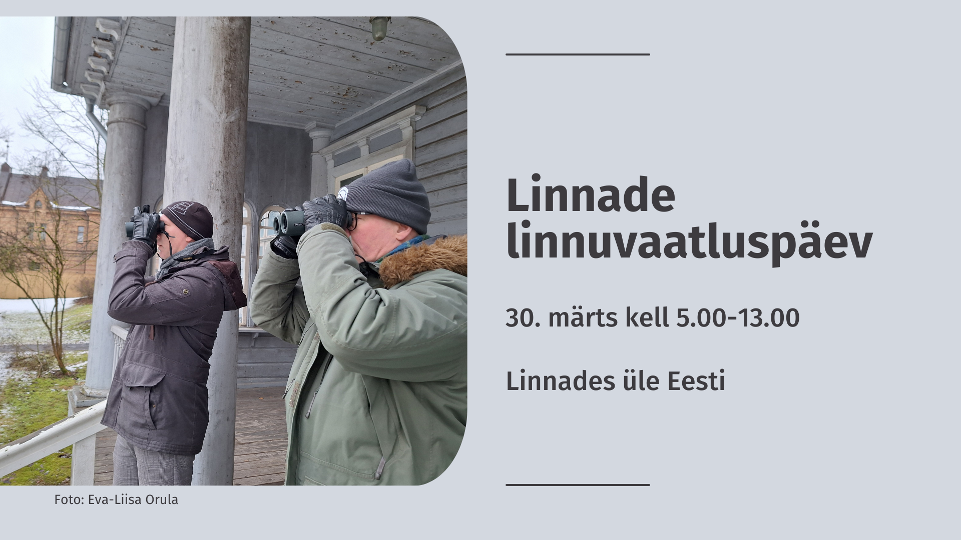 Kaks meest vaatlevad linde binoklitega.