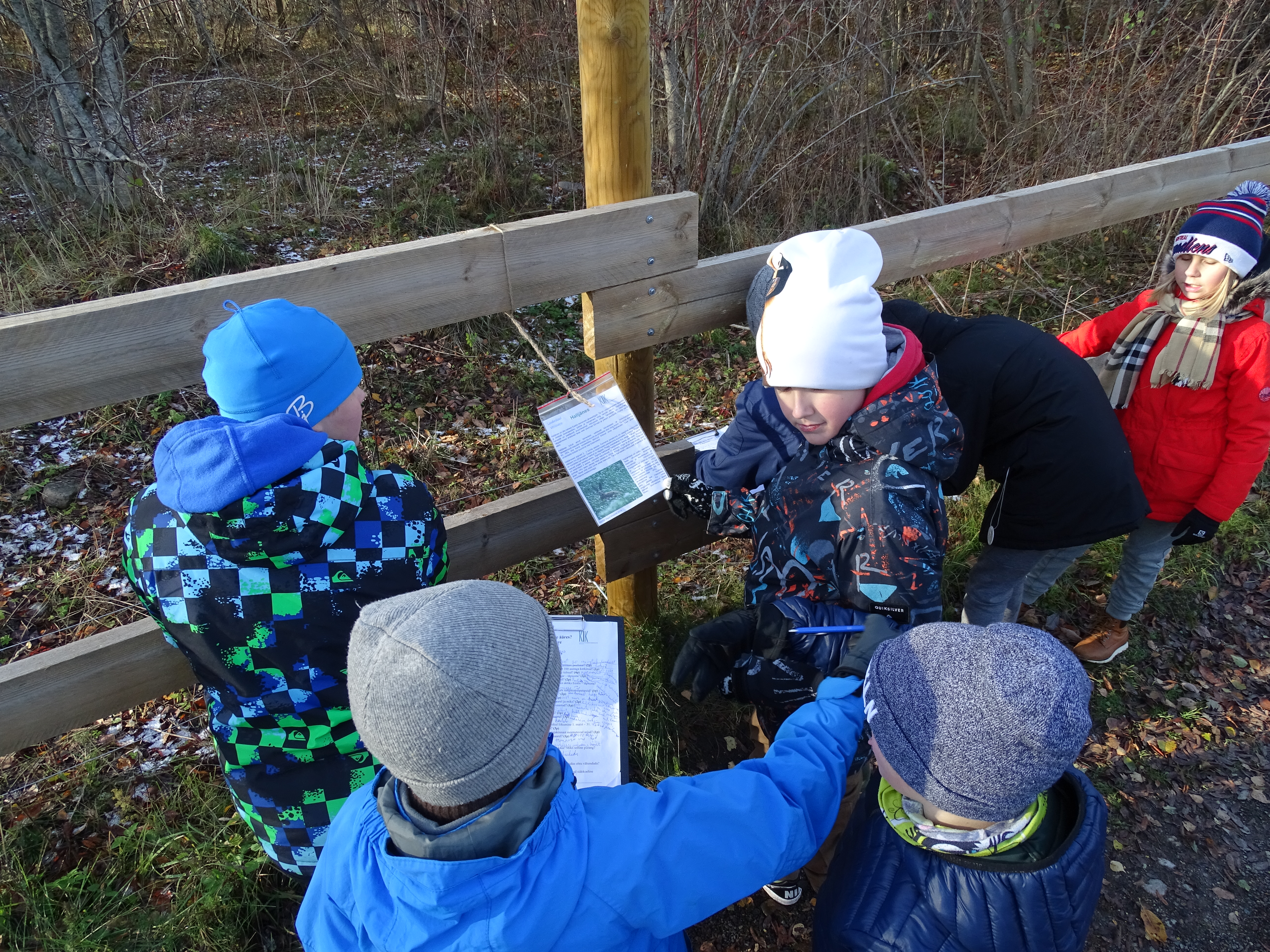 Lapsed ülesannet lahendamas