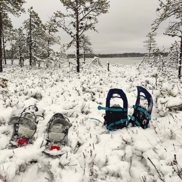 Lumises rabas esiplaanil kaks paari lumme torgatud räätsasid, millega talvel kergem liikuda, taustal lumised männid ja jääkaanega järv