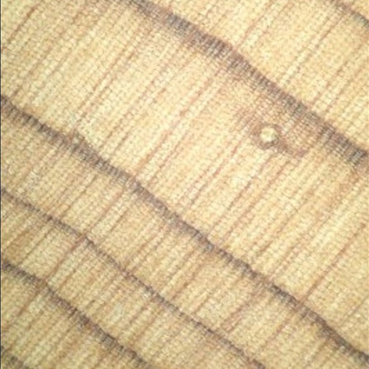 Suurendatult on näha, kuidas puu ristlõikes heledad suvised aastarõngad vahelduvad hilissügiseste tumedate kitsaste aastarõngastega