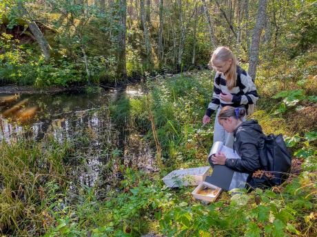 Õppeprogramm Nõva jõe ääres.