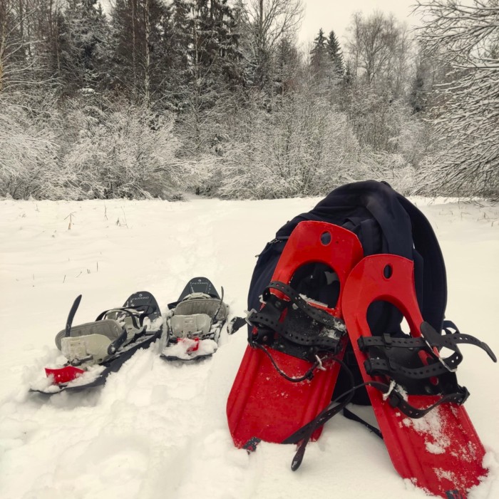 Punased ja hallid räätsad, millega talvel lume peal kergem liikuda on asetatud lumele. Taustal lumine mets.