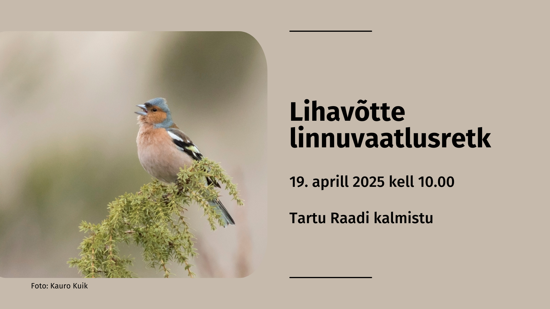 Pruunil taustal on vasakul pool foto oksa peal istuvast ja laulvast isasest metsvindist ning paremal tekstid.