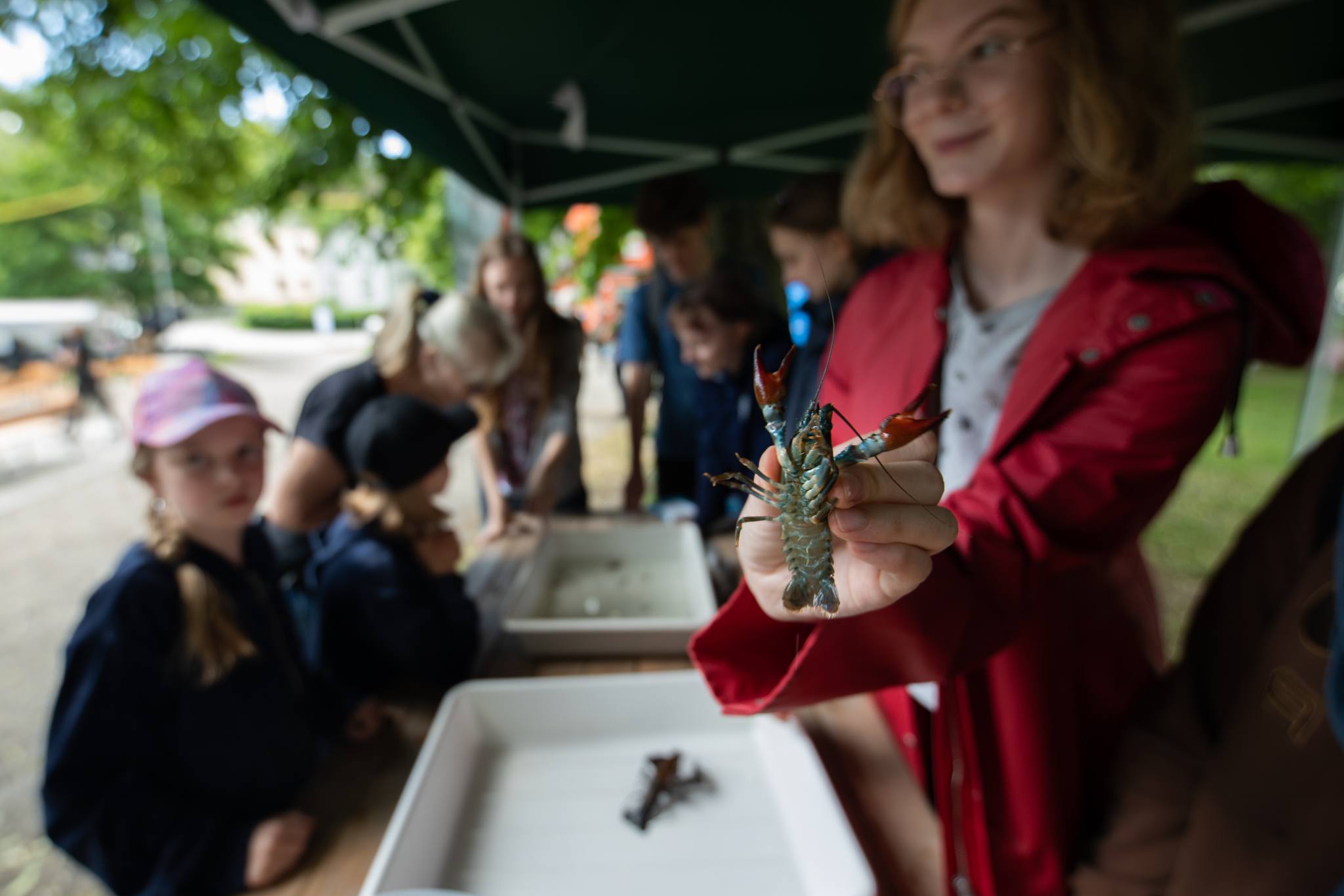 Norrtälje looduskeskus