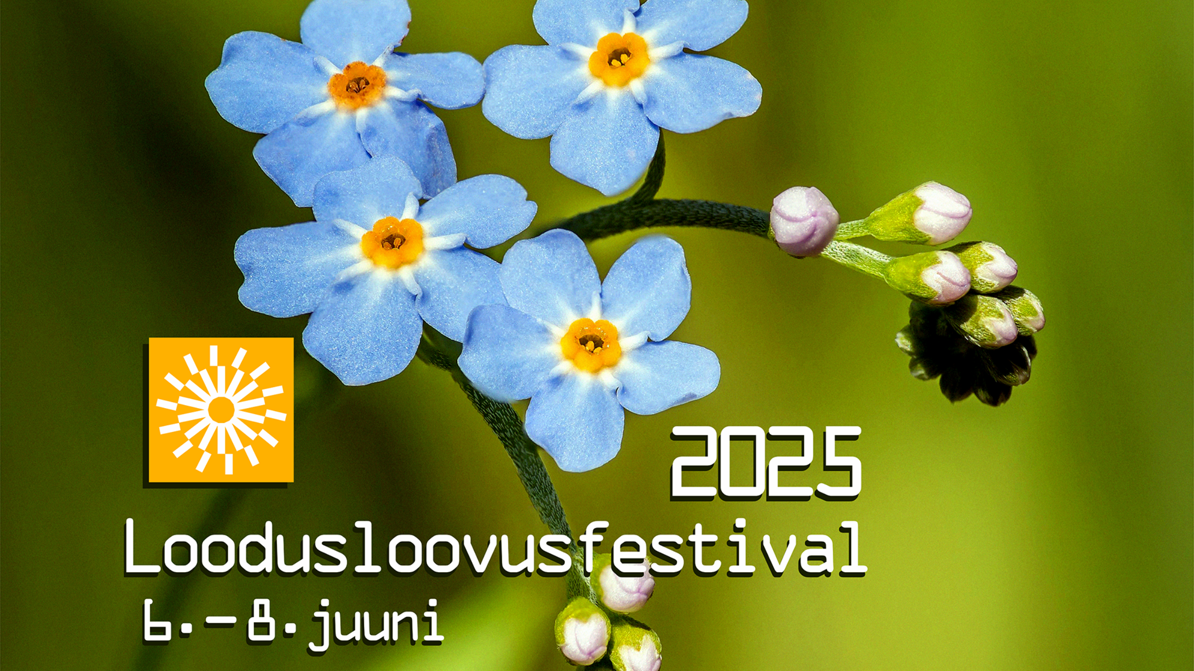 Foto meelespeadest ja selle peal tekstid