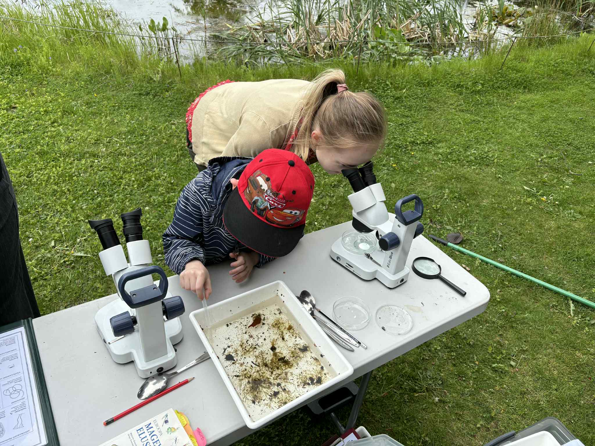 üritused Tartus - Tartu Ülikooli loodusmuuseum ja botaanikaaed