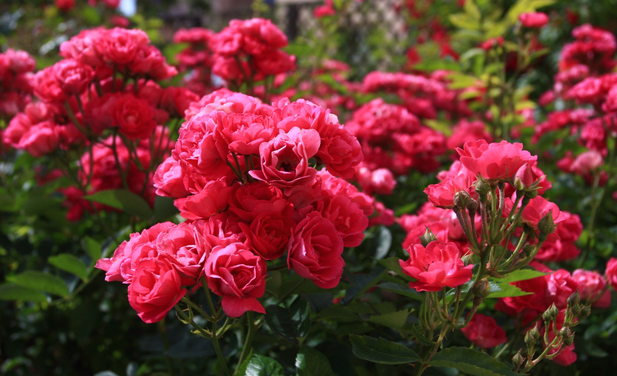 üritused Tartus - Tartu Ülikooli loodusmuuseum ja botaanikaaed