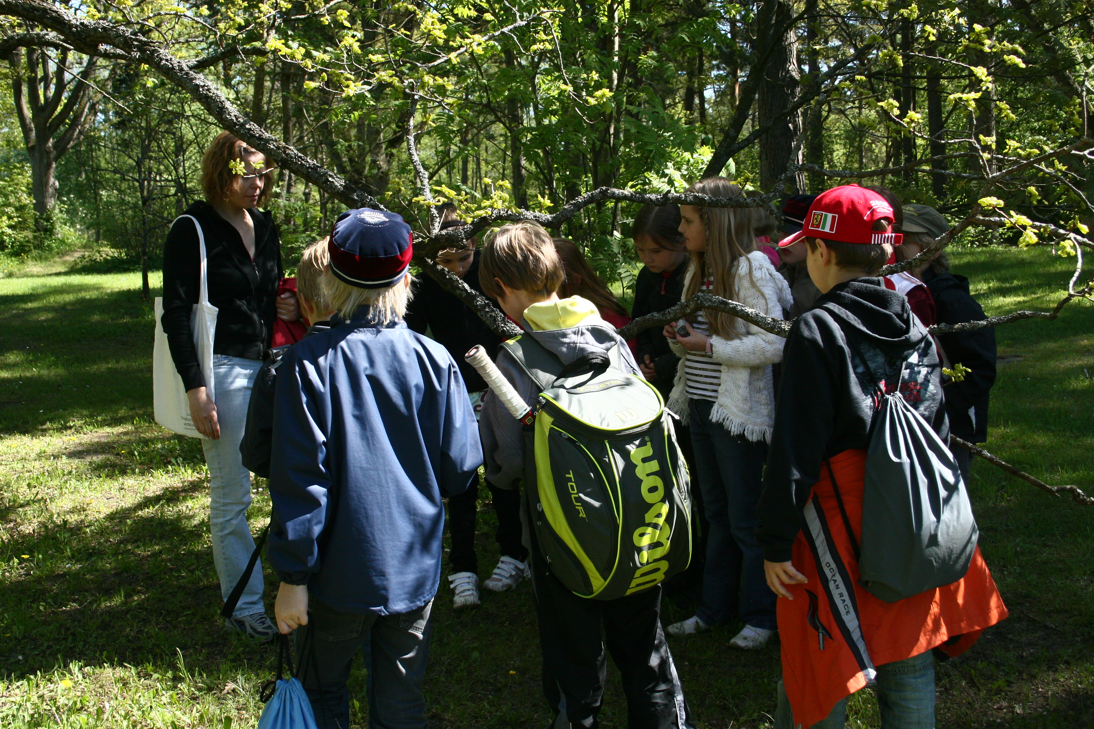 Retk puude, põõsaste, puhmaste ja rohttaimede maailma