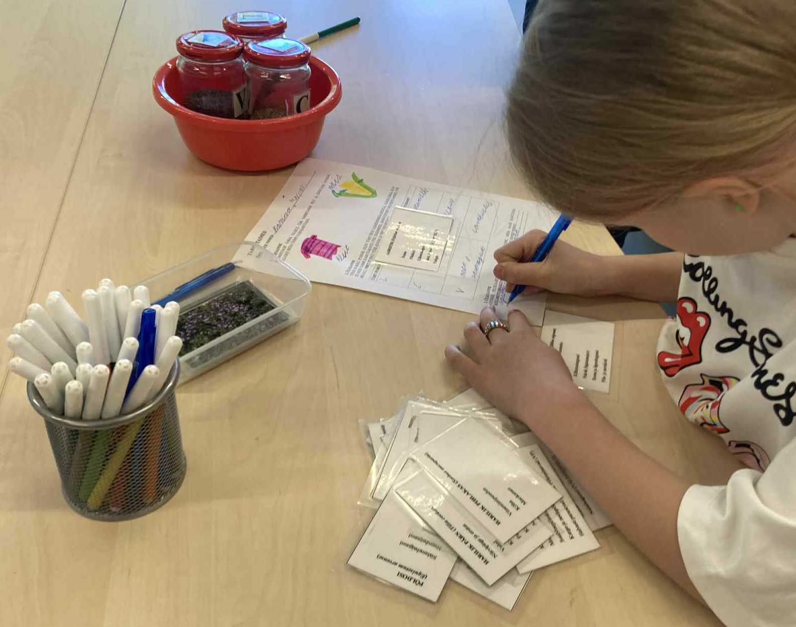 Taimed igapäevaelus