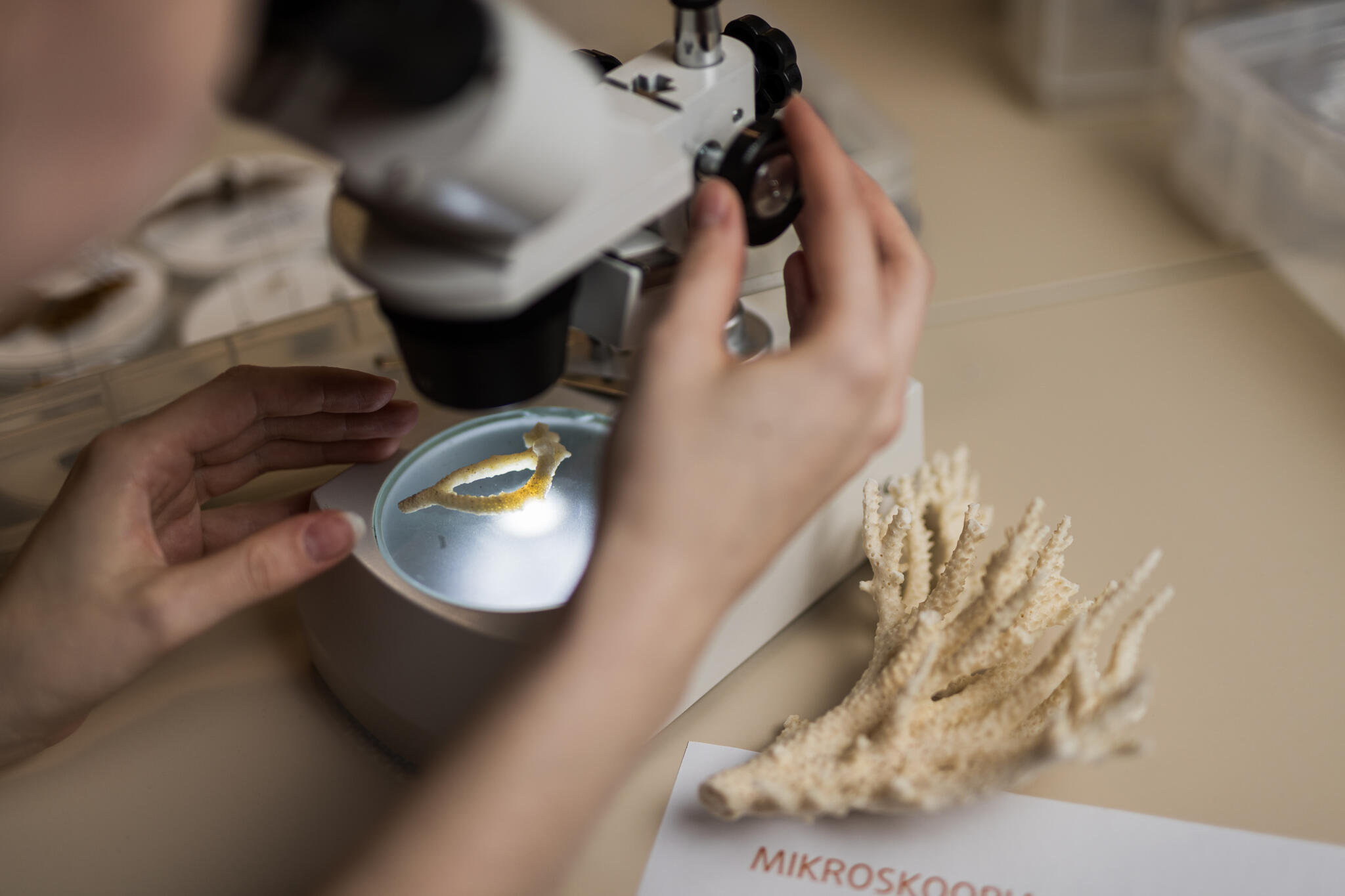 Salapärane vesi lasteaed