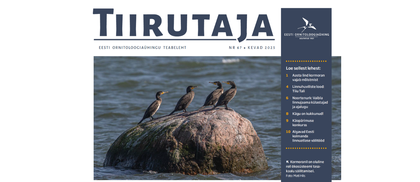 Teabelehe Tiirutaja nr 67 esikaas