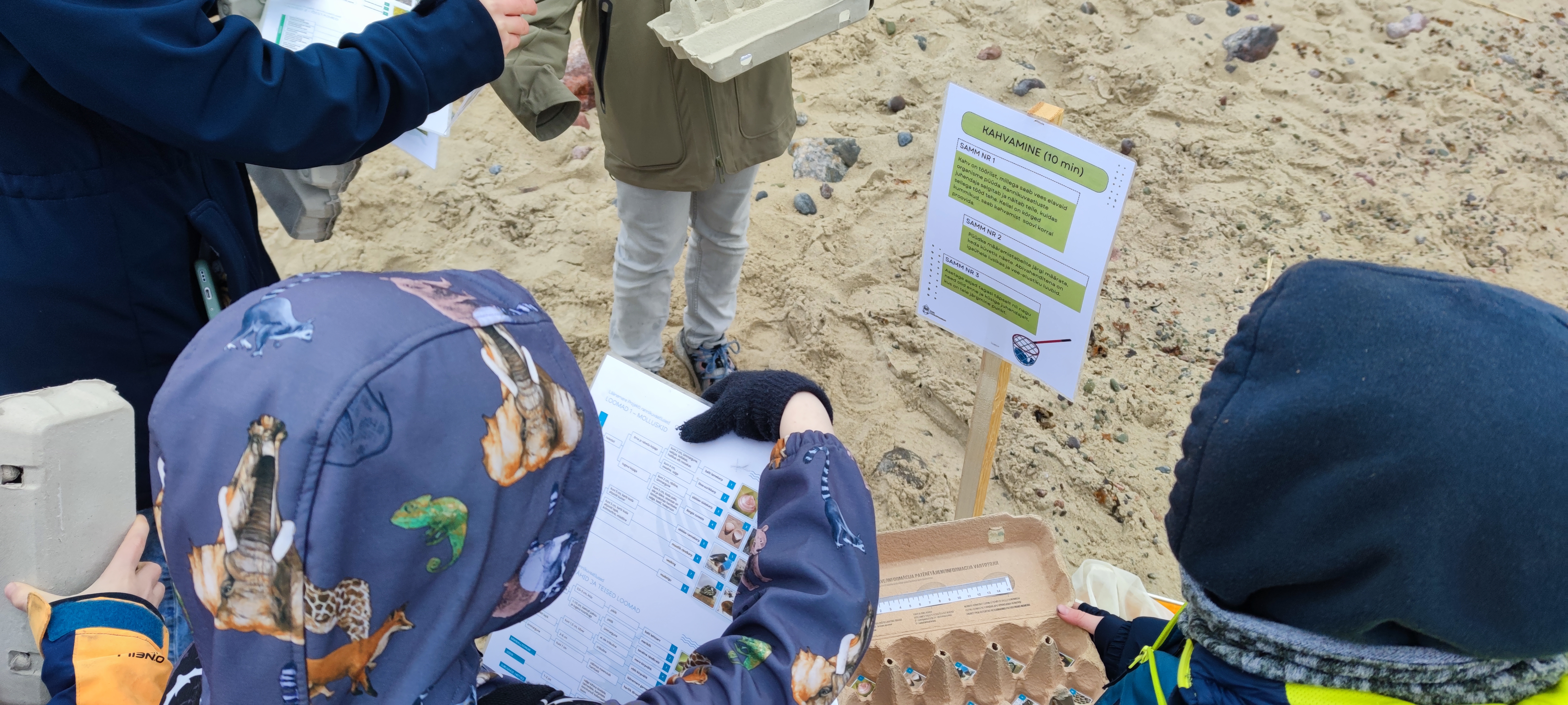 Rannikuvaatluste programmi illustreeriv pilt