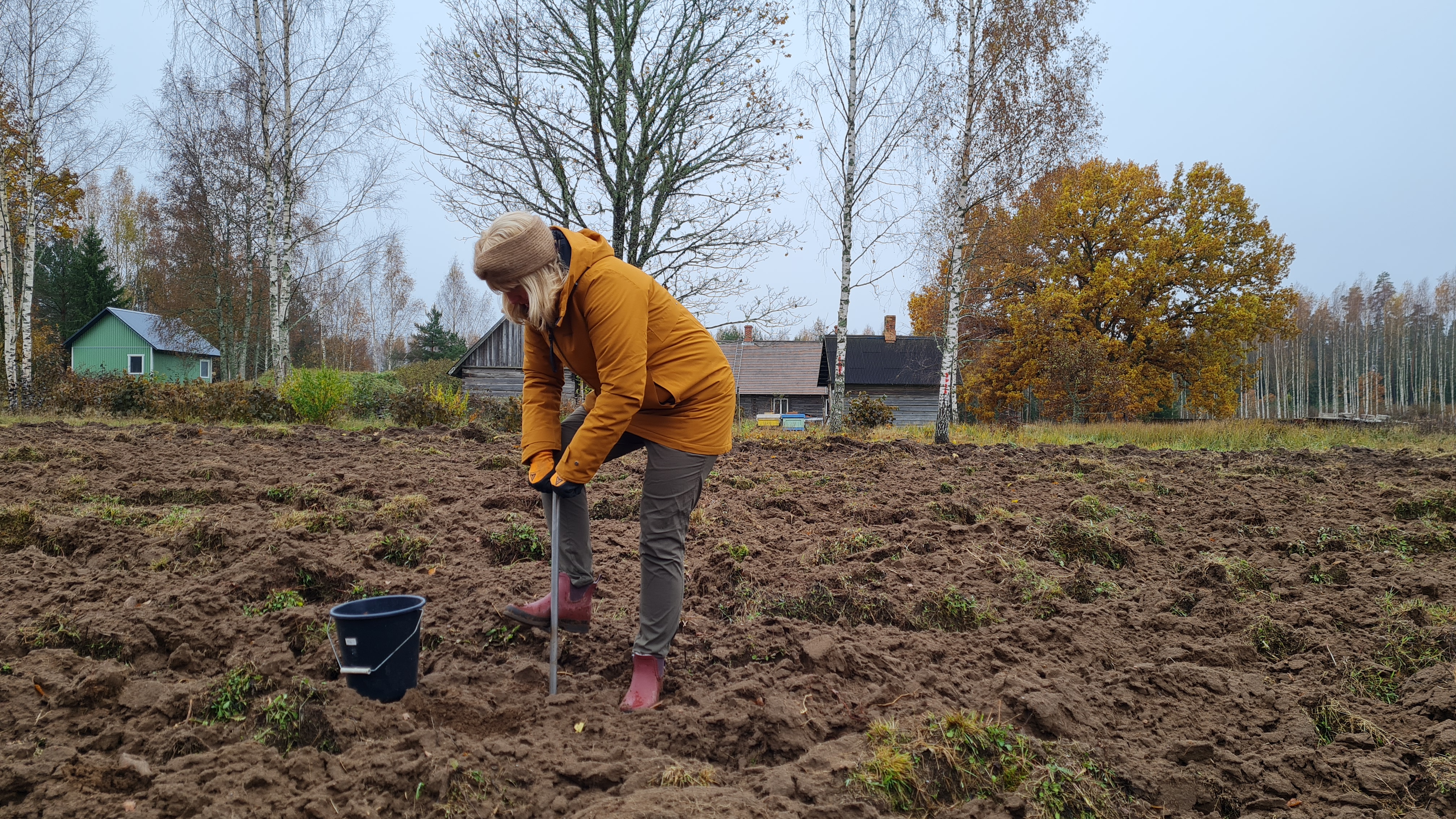 Mullaproovi võtmine Raja põllumaal
