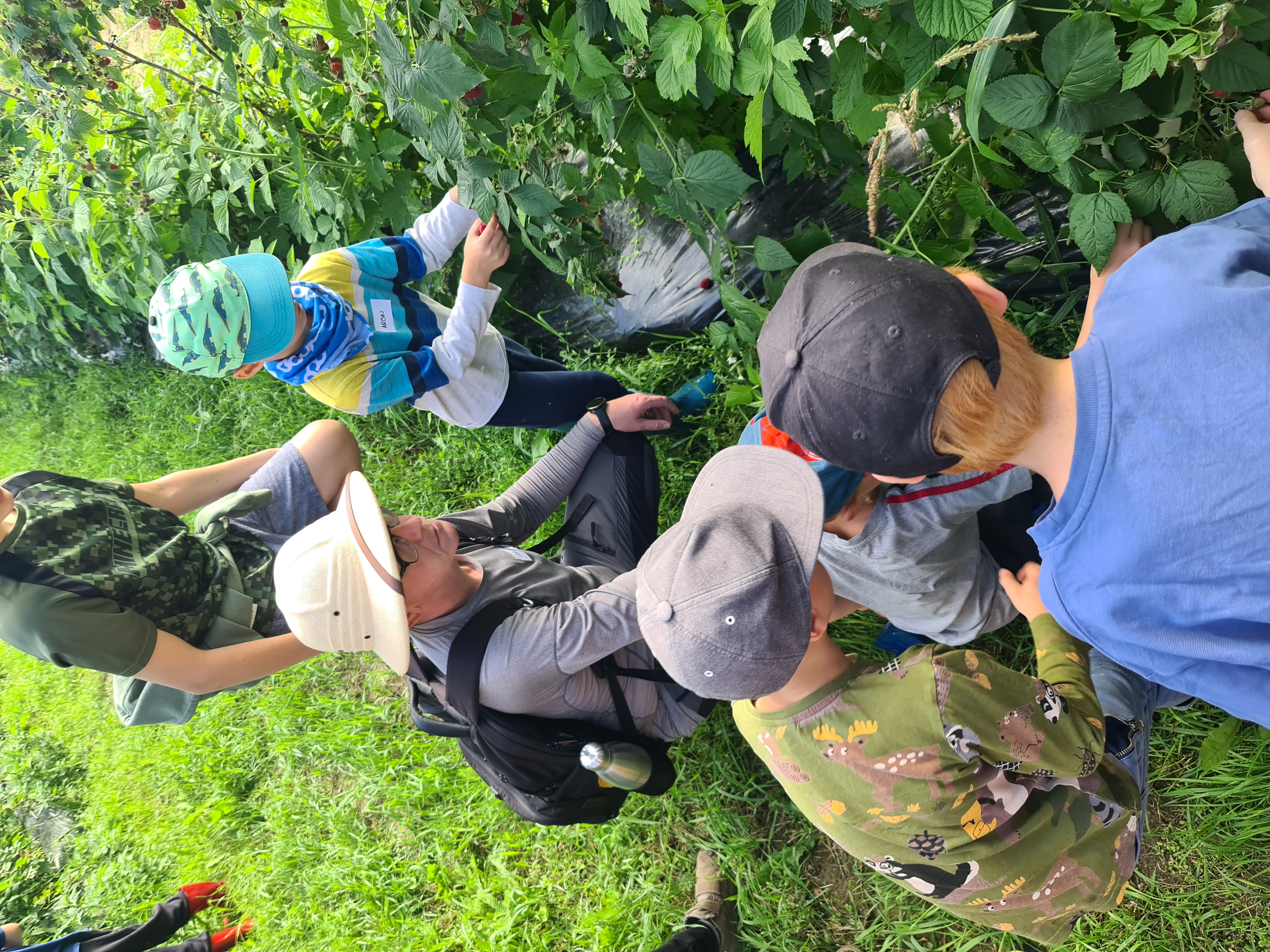 Õpilastega Raja vaarikaistanduses