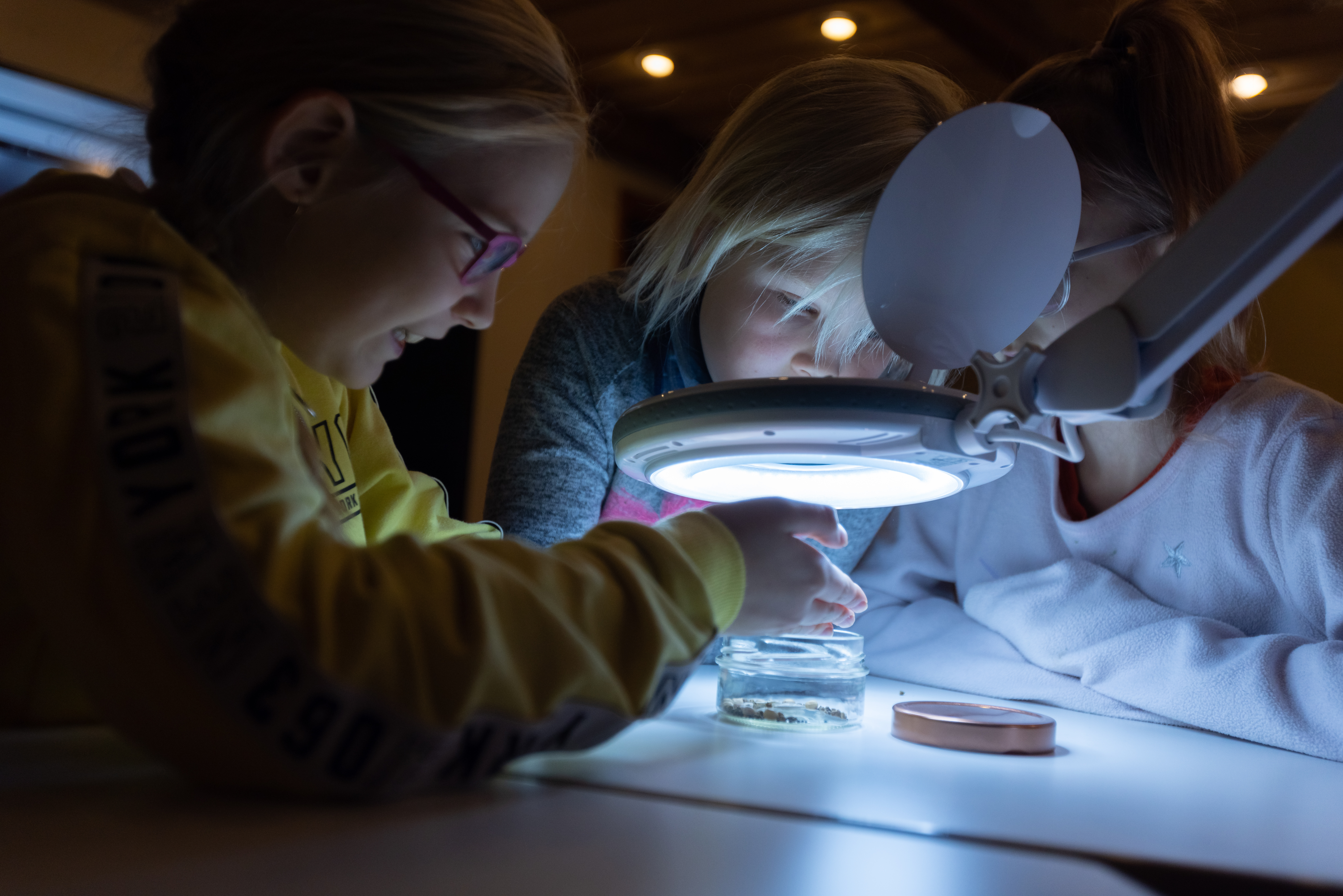 Pilt "Põllult potti" muuseumitunnist