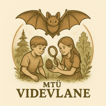MTÜ Videvlane logo
