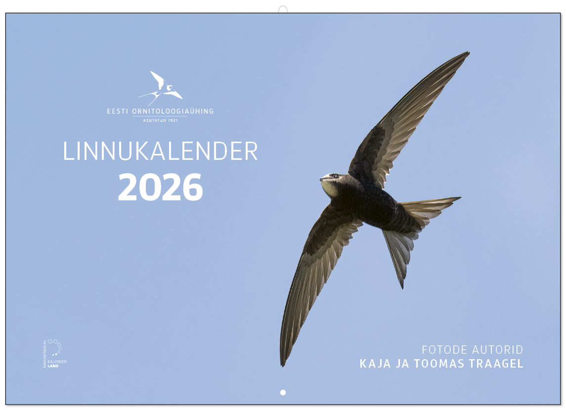 Linnukalendri 2026 esikaane pilt, kus on sinise taeva taustal lendav pruuni värvi piirirtaja ning valge värviga tekstid