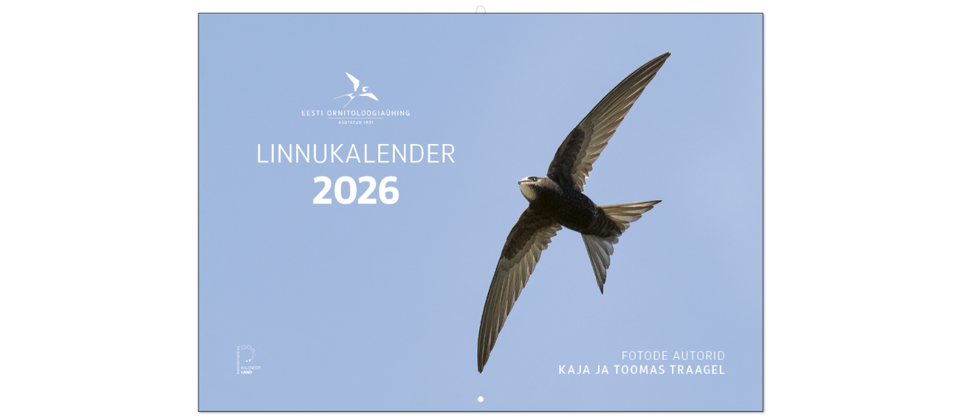 Linnukalendri 2026 esikaane pilt, kus on sinise taeva taustal lendav pruuni värvi piirirtaja ning valge värviga tekstid