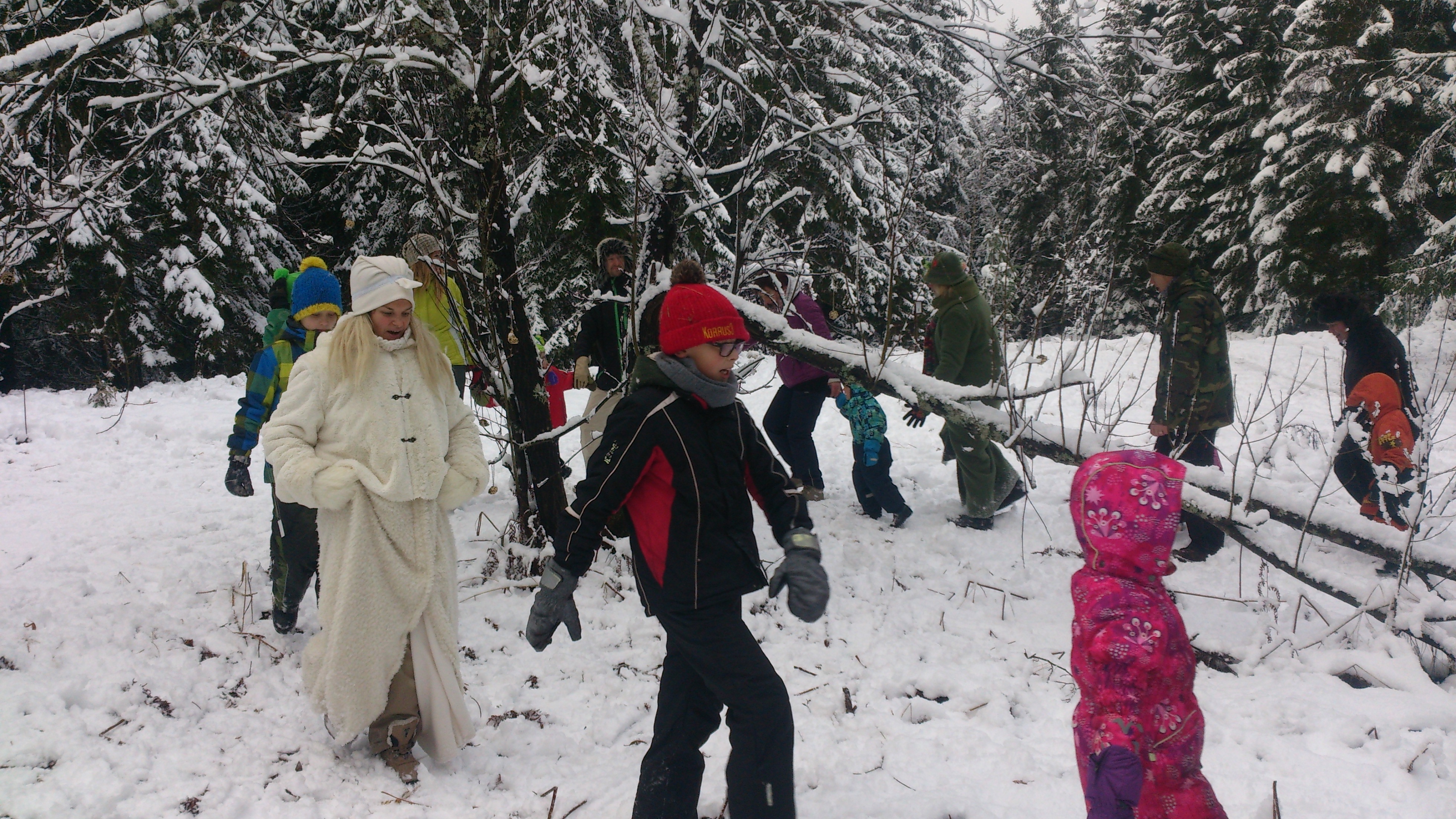 metsloomade jäljemäng
