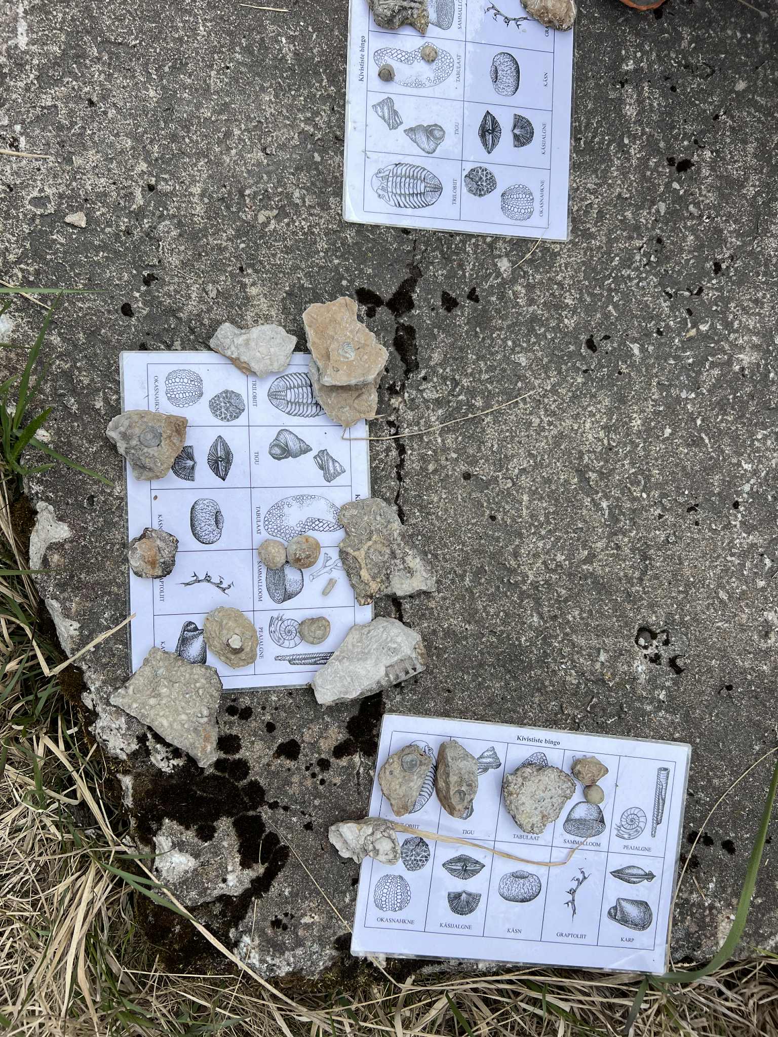 Pildi autor on Ingrid Kuligina