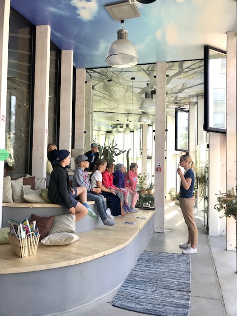 Taime eluring ja kasvukeskkond