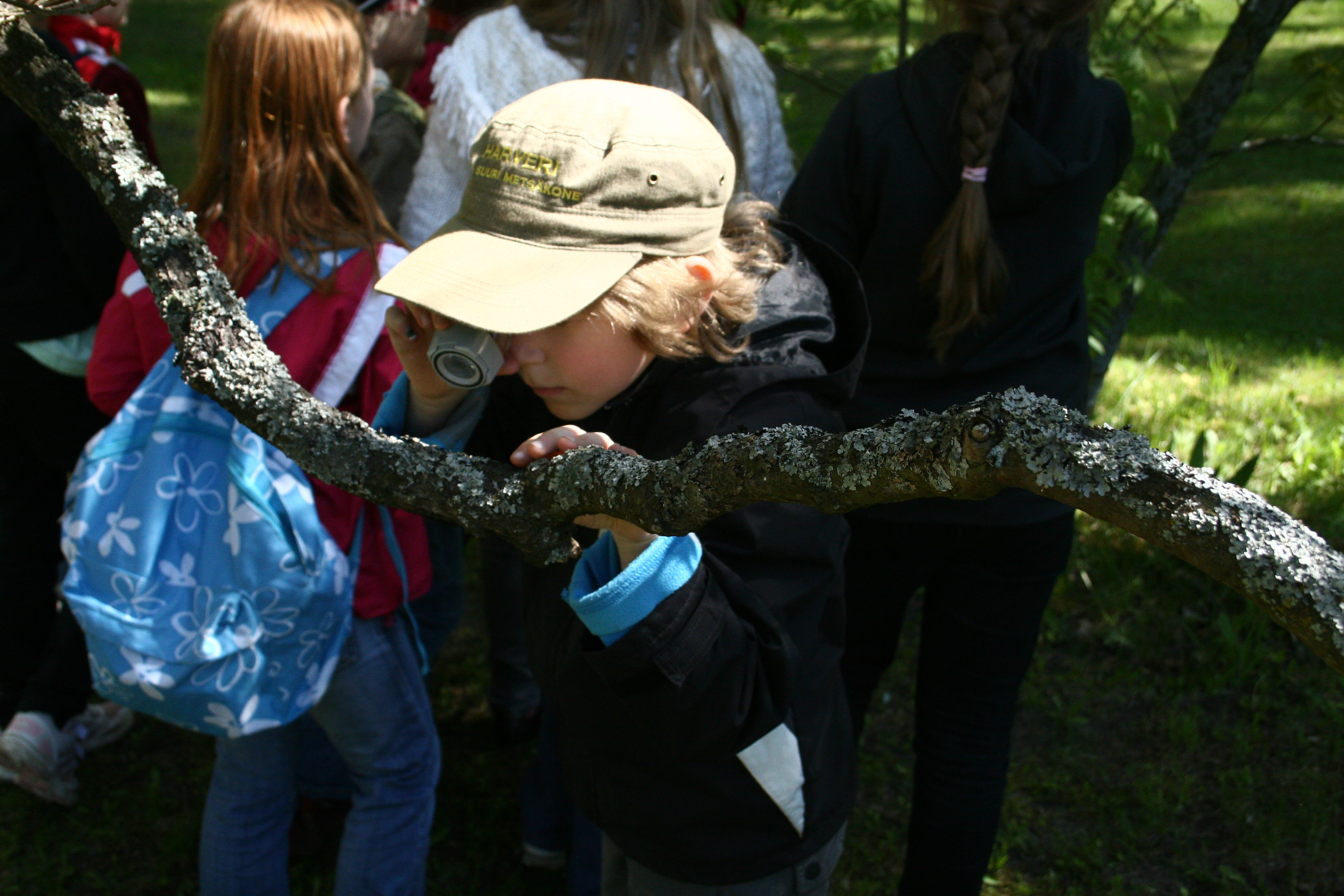 Taimed ja nende kohastumused