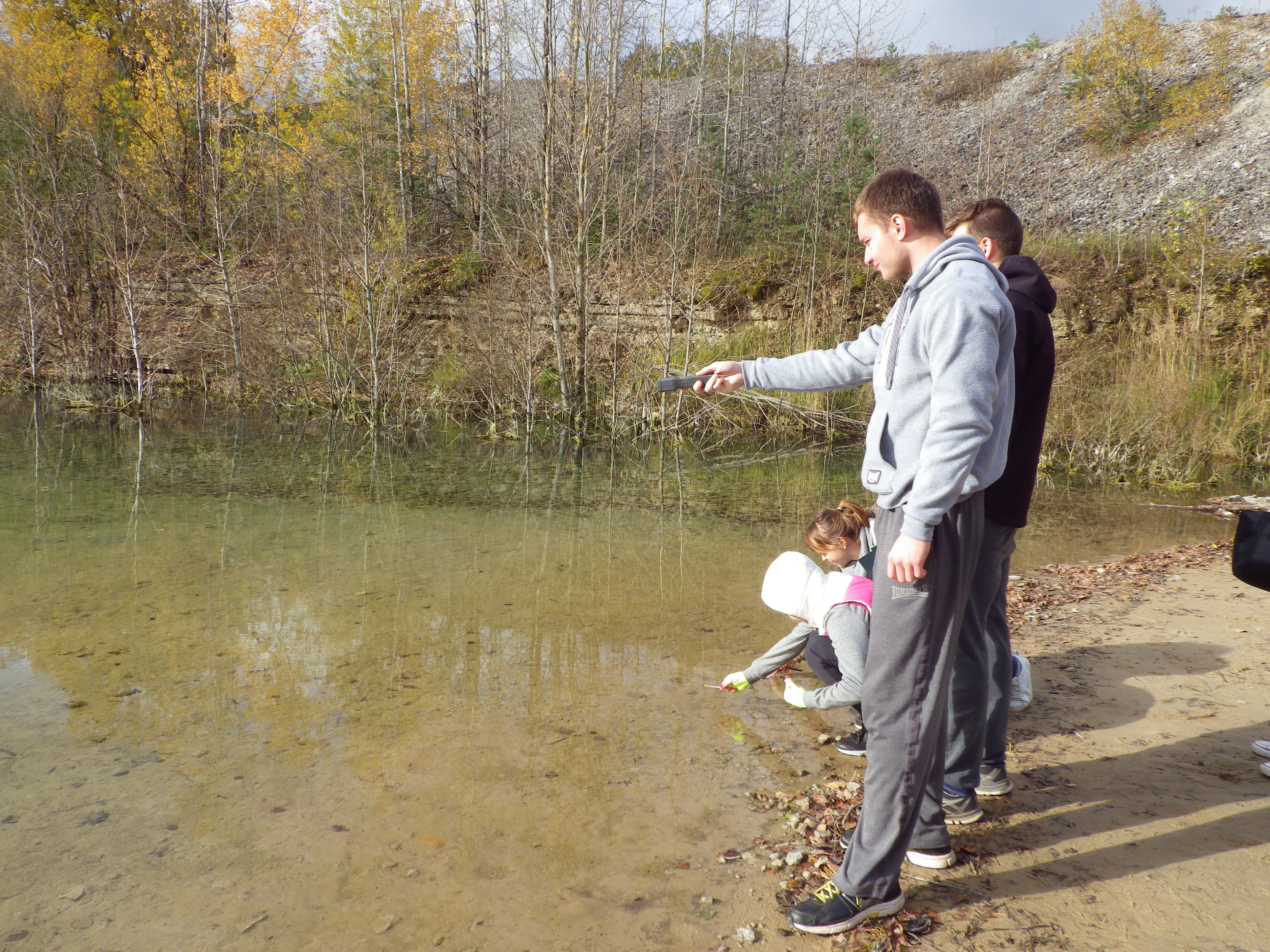 Vesi Aidu karjääris