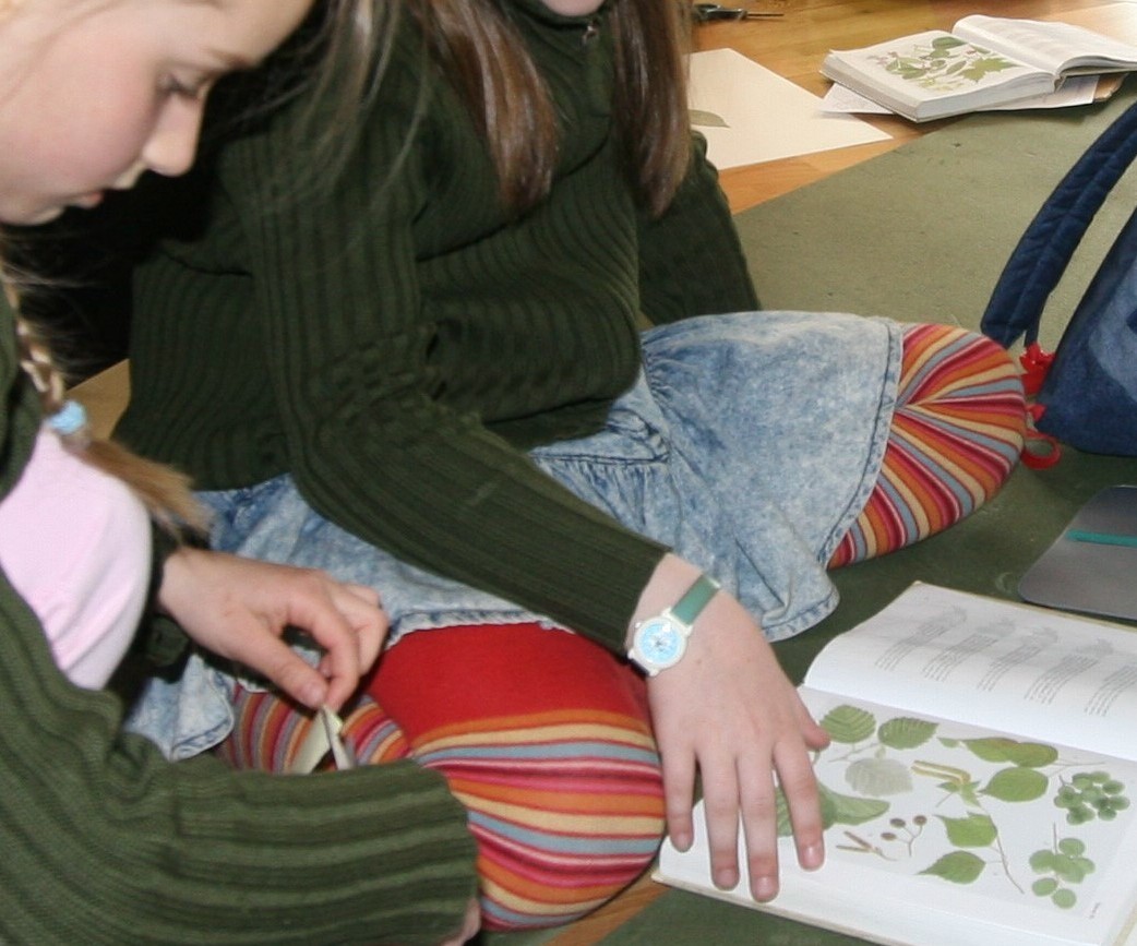 Taimed ja herbaarium