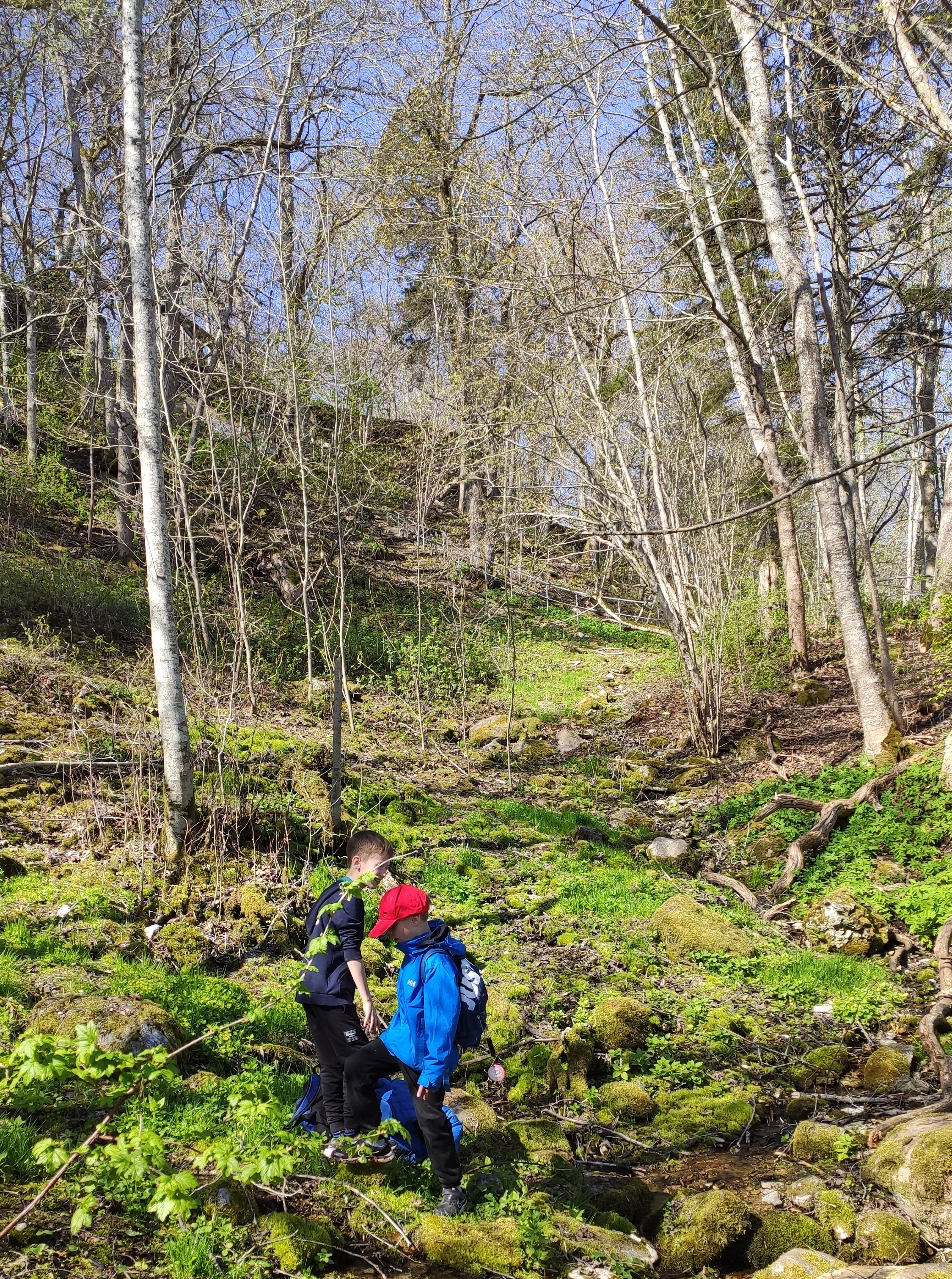 Tabasalu looduspargis