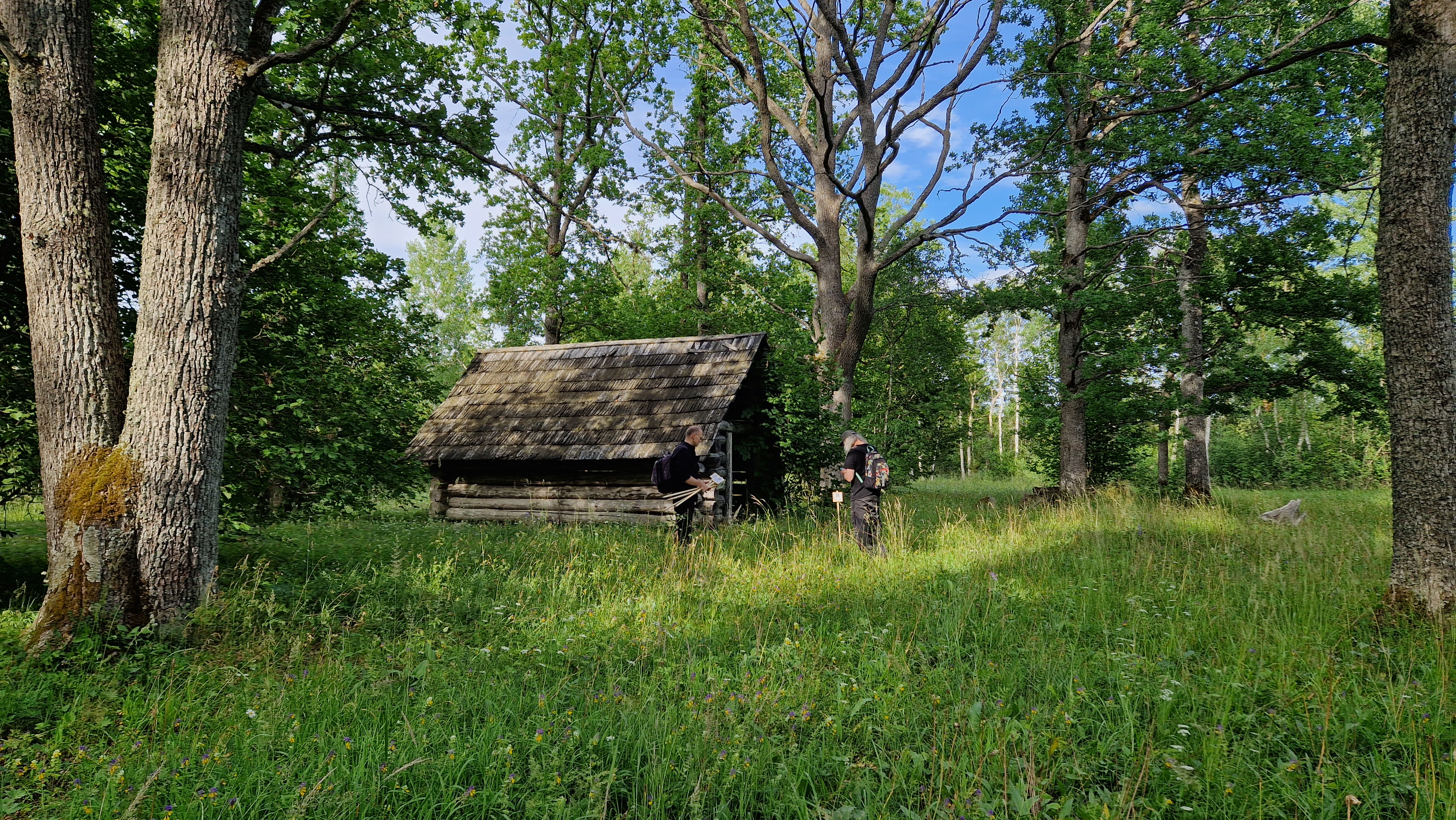 Heinaküünid on Nedrema puisniidu lahutamatu osa
