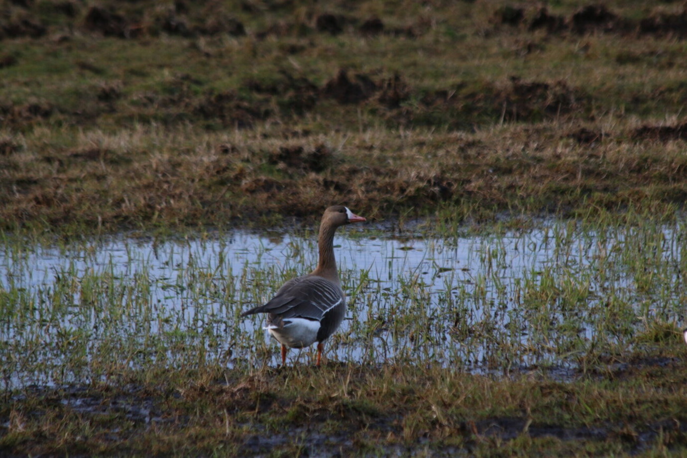 Üritused Tartus - Tartu Ülikooli loodusmuuseum ja botaanikaaed