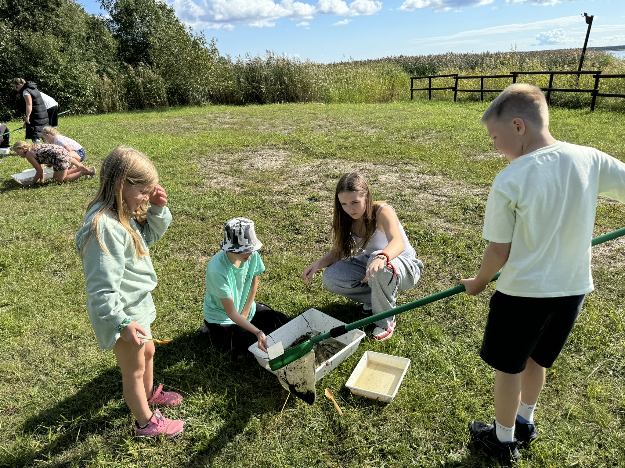 Vee-selgrootute uurimine