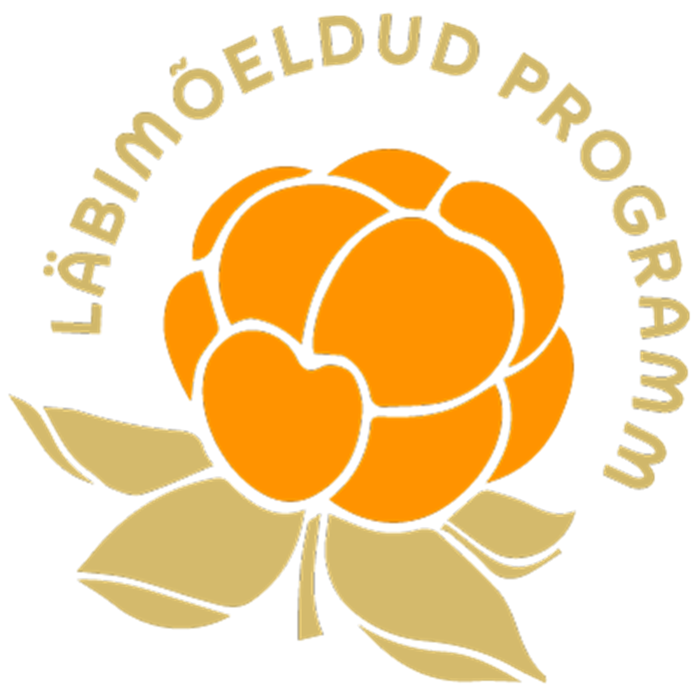 Kvaliteedimärgis "Läbimõeldud programm"