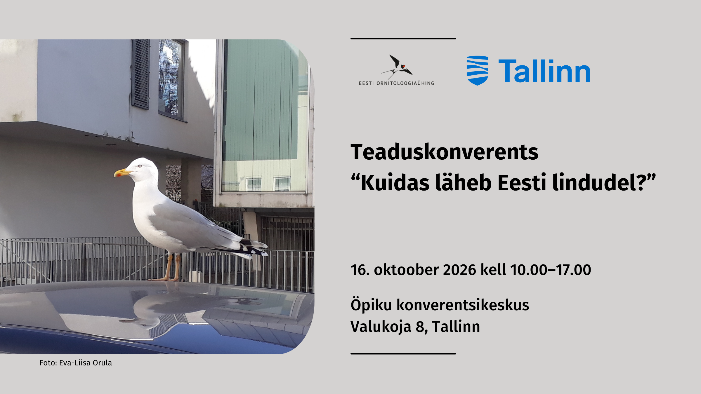 Vasakul pool on foto kajakast, kes seisab sinist värvi auto kautusel, taustal on heledad majad. Paremal pool on hallil taustal kaks logo ja ürituse info tekstina.